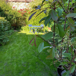Vue jardin, résultat