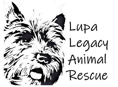 Lupa logo transparent background_edited_