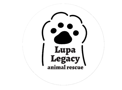 LLAR logo_edited.png