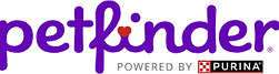 petfinder transparent background.png