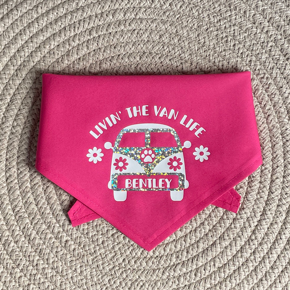 Thumbnail: Camper Van Life Pet Bandana