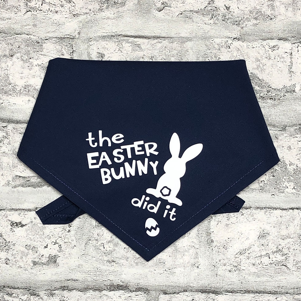 Thumbnail: Front view black dog bandana