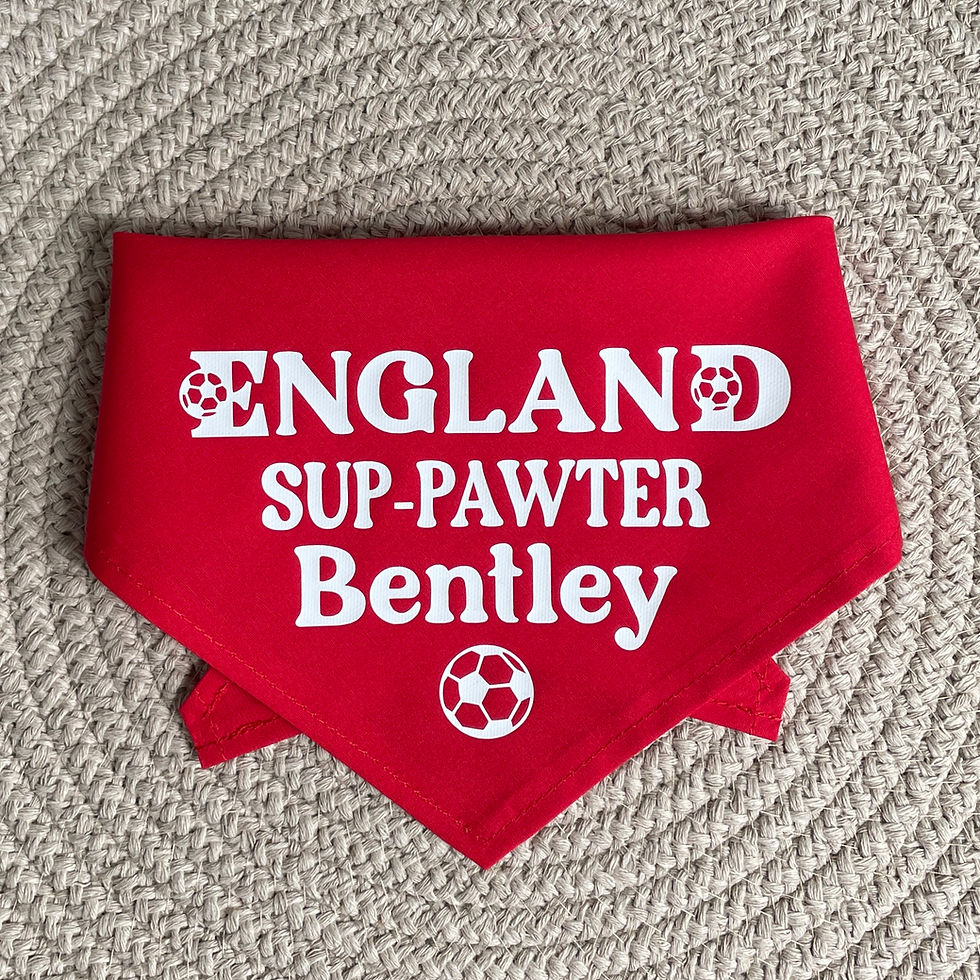 Thumbnail: Euro 2024 Supporter Tie On Pet Bandana