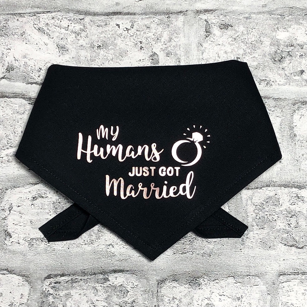 Thumbnail: My Humans Just Got Married Dog Bandana