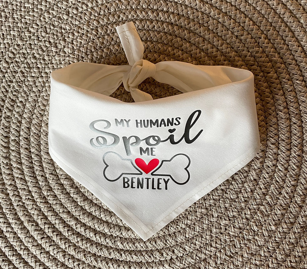 Front View of knotted bandana