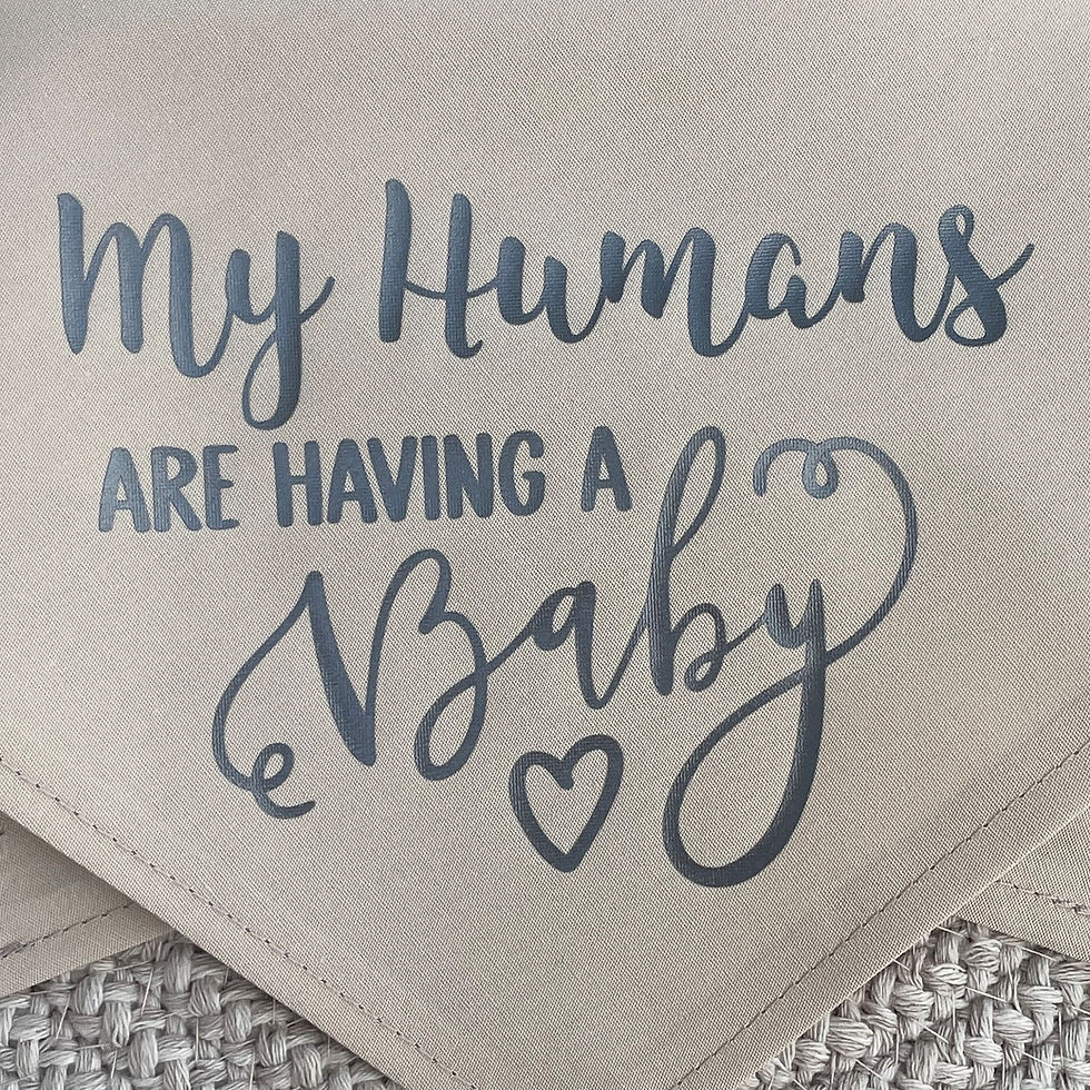 Thumbnail: My Humans Are Having A Baby Bandana