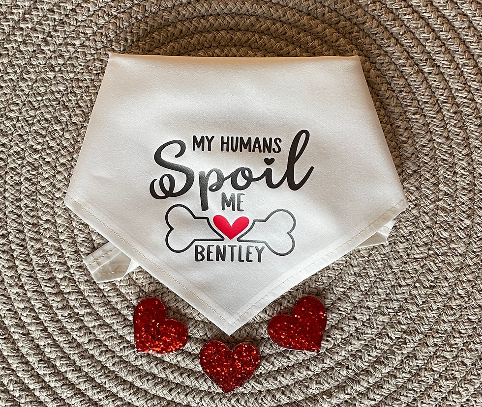 Thumbnail: Front view of folded bandana