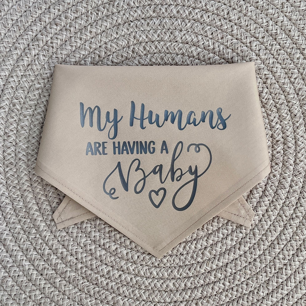 Thumbnail: My Humans Are Having A Baby Bandana