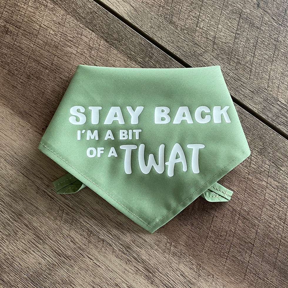 Thumbnail: Stay Back I'm a bit of a TWAT Dog Bandana