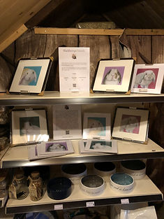 Blackberry's Friends Rabbit Prints