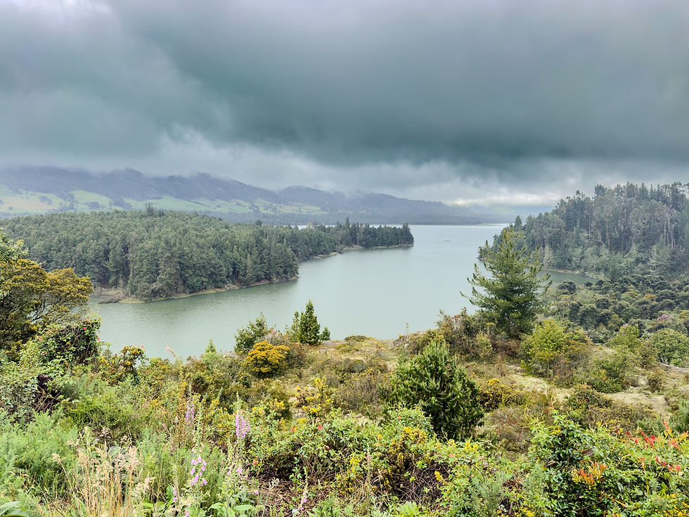 Fotografía de naturaleza tomada con celular de un paisaje en los Andes orientales de Colombia durante un día de lluvia.