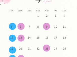 🌸4月レッスンスケジュールのお知らせ|新生活キャンペーン実施中!