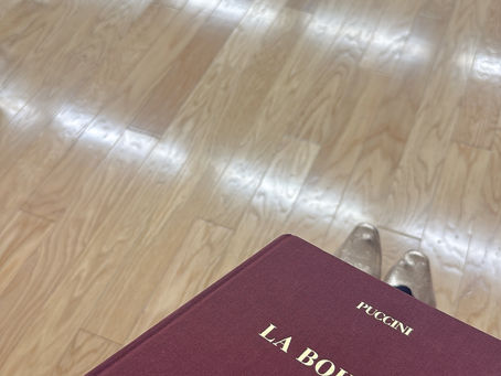 さわかみオペラin徳島『ラ・ボエーム』終演のご報告