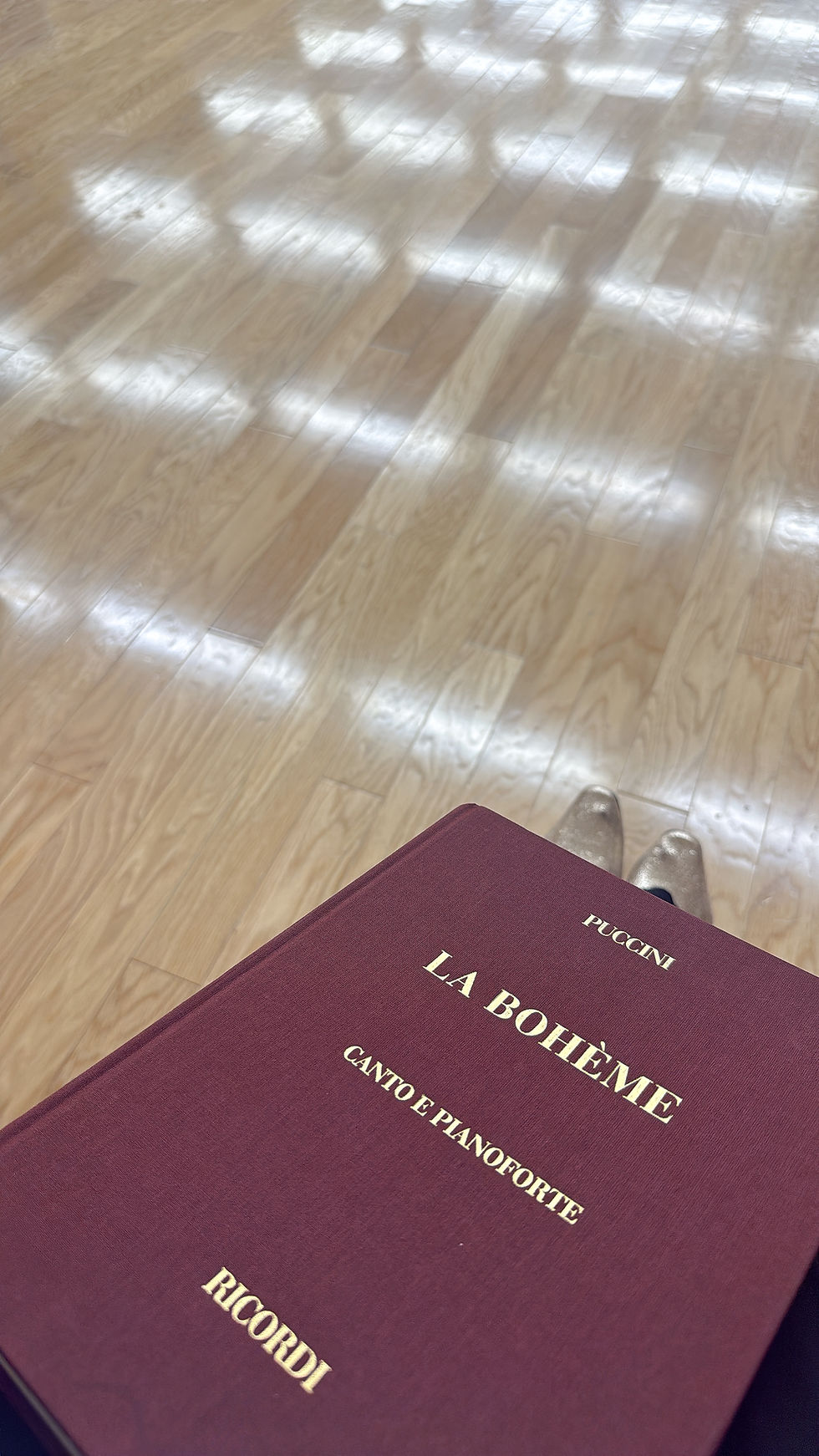 さわかみオペラin徳島『ラ・ボエーム』終演のご報告