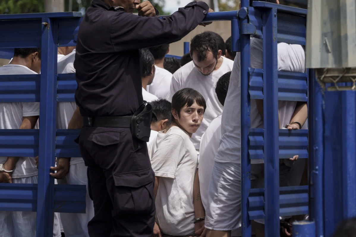 Men who were detained under a state of exception are transported in a livestock trailer to a detention center in Soyapango, El Salvador, on Oct. 7, 2022. On PAril 2022, El Salvador President Nayib Bukele received special powers suspending fundamental rights like access to a lawyer or being informed of why you were arrested, powers that by Nov. 2023 remain in effect. (AP Photo/ Moises Castillo)