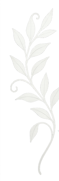 ChatGPT Image 24_04_2025, 12_04_36.png