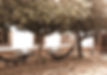 jardim centro_edited_edited_edited_edited.jpg
