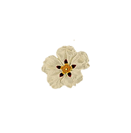 esteva.png
