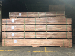 PHOTO-2023-01-13-15-37-17 2