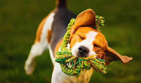 AdobeStock_295958306-scaled.jpeg