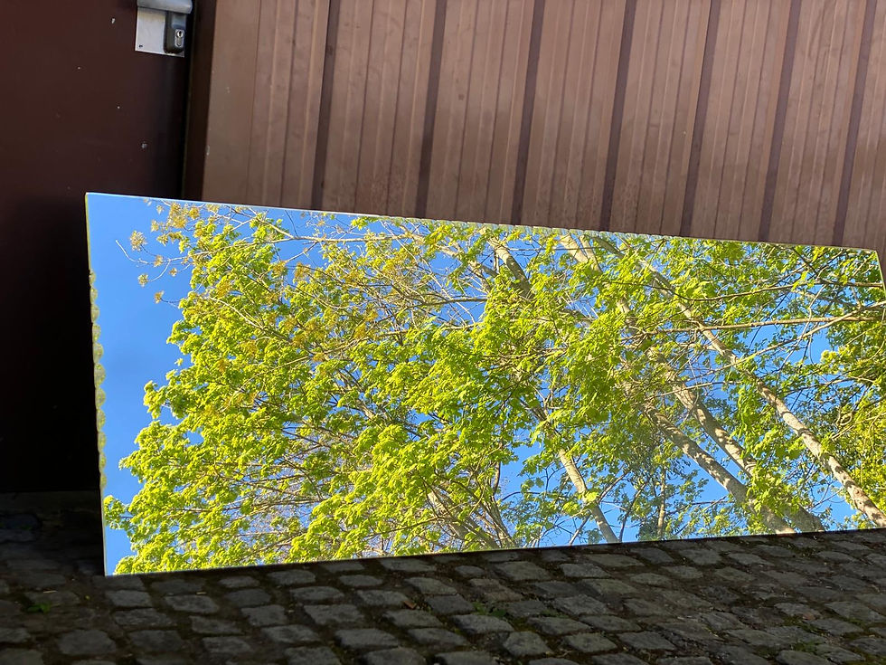 Miniature : Miroir de bistrot brasserie sculpté et biseauté 1980 228x80cm