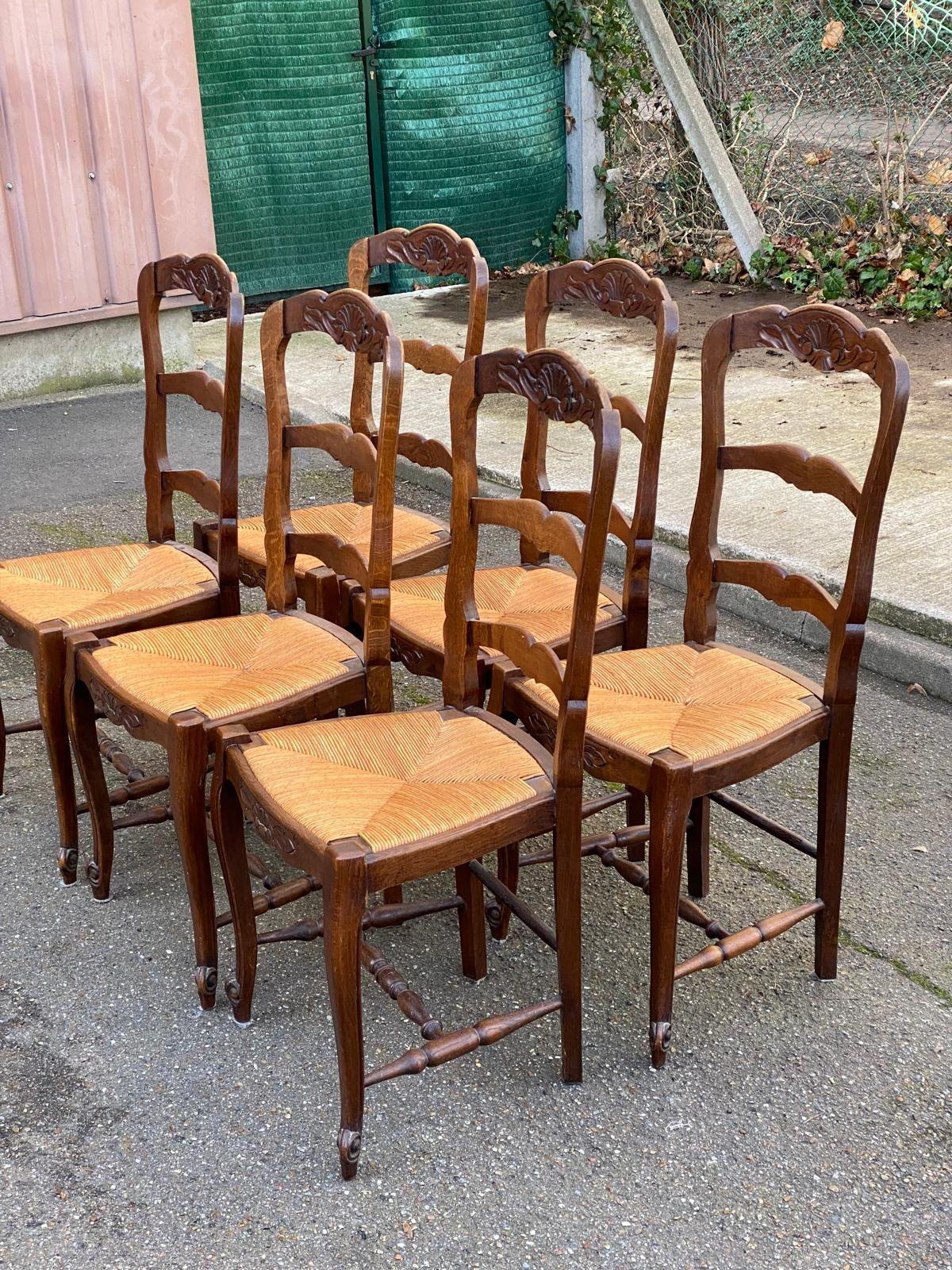 6 chaises Louis XV en bois massif chêne foncé et paille sculptures coquille