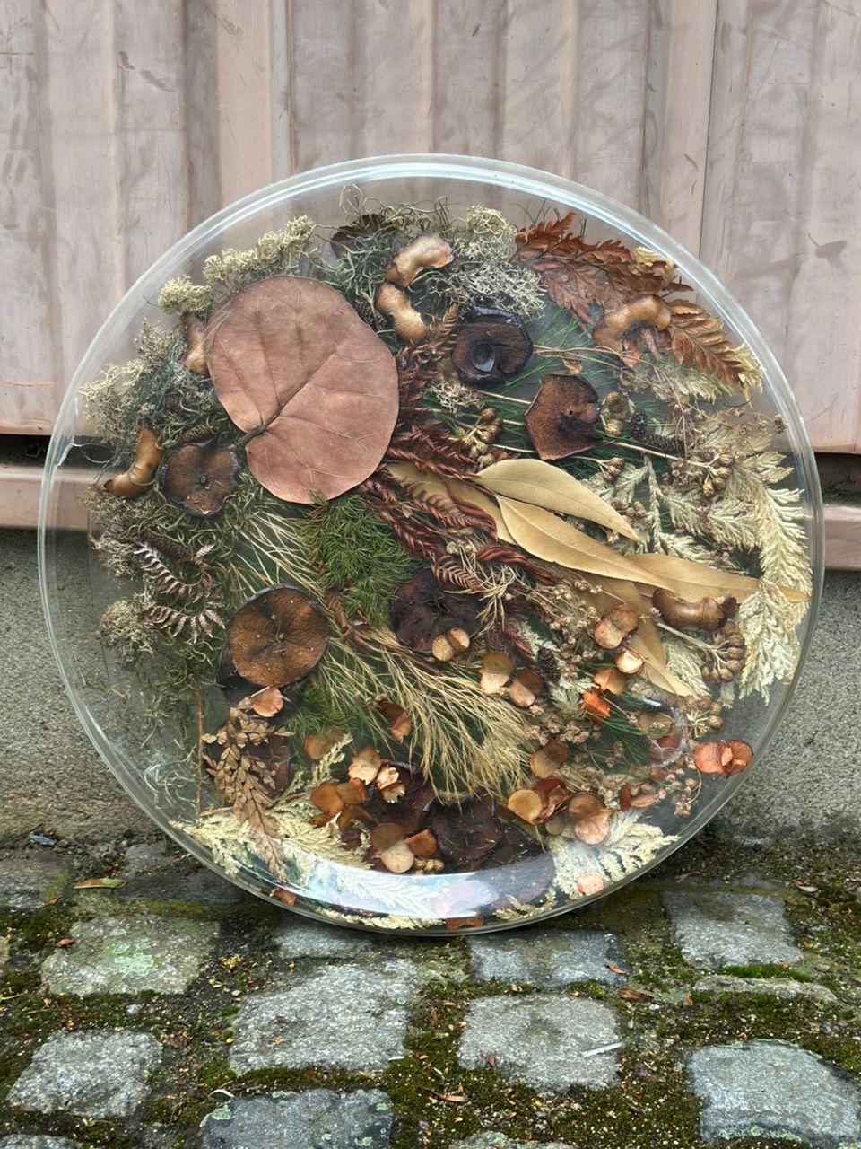 Tableau en forme de plateau rond dit inclusion botanique sous résine 48cm