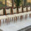 Miniature : 6 chaises italiennes d'inspiration scandinave en teck et cuir blanc beige