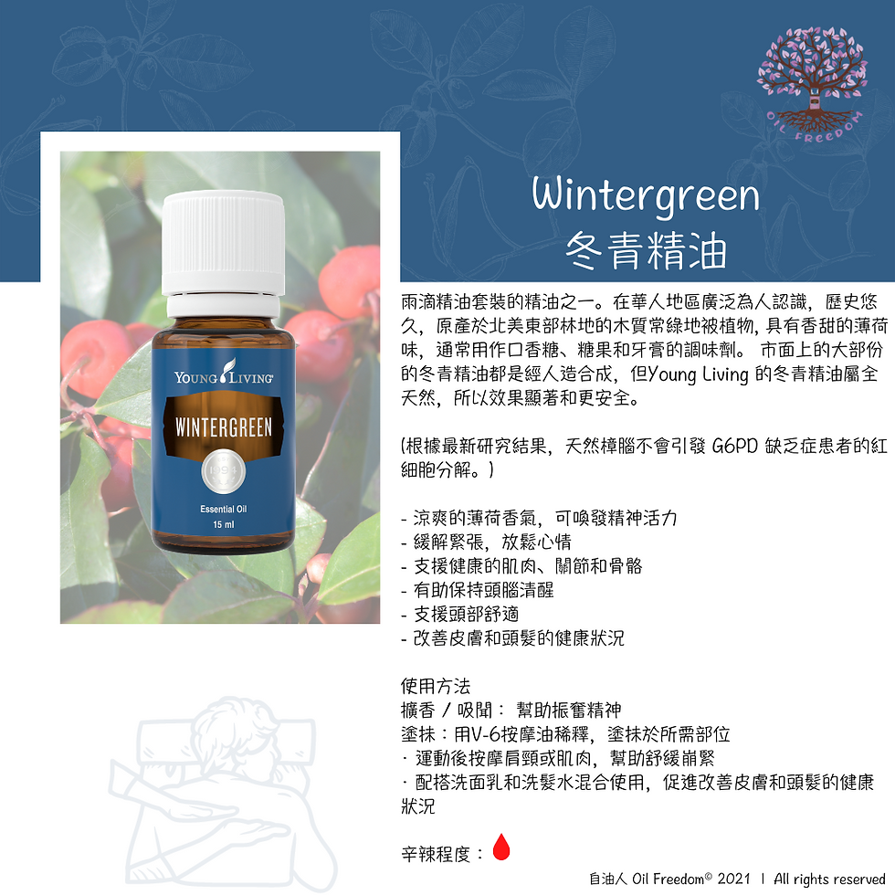 Singles - Wintergreen.png