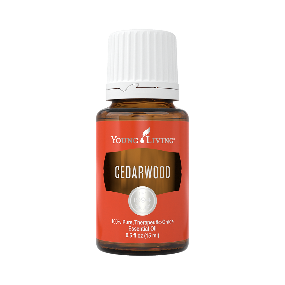 Cedarwood 北非雪松精油