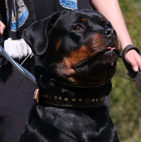 IMG_20210422_195114_888 (1).jpg