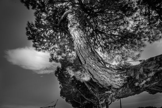 185ND61020PMAG_6849_LR_Paolo Maggiani.jpg