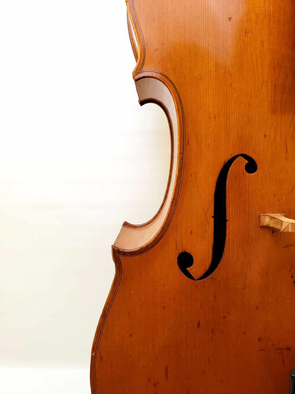 Thumbnail: E. Martin, mid 20th century, Markneukirchen, Germany Strad Model