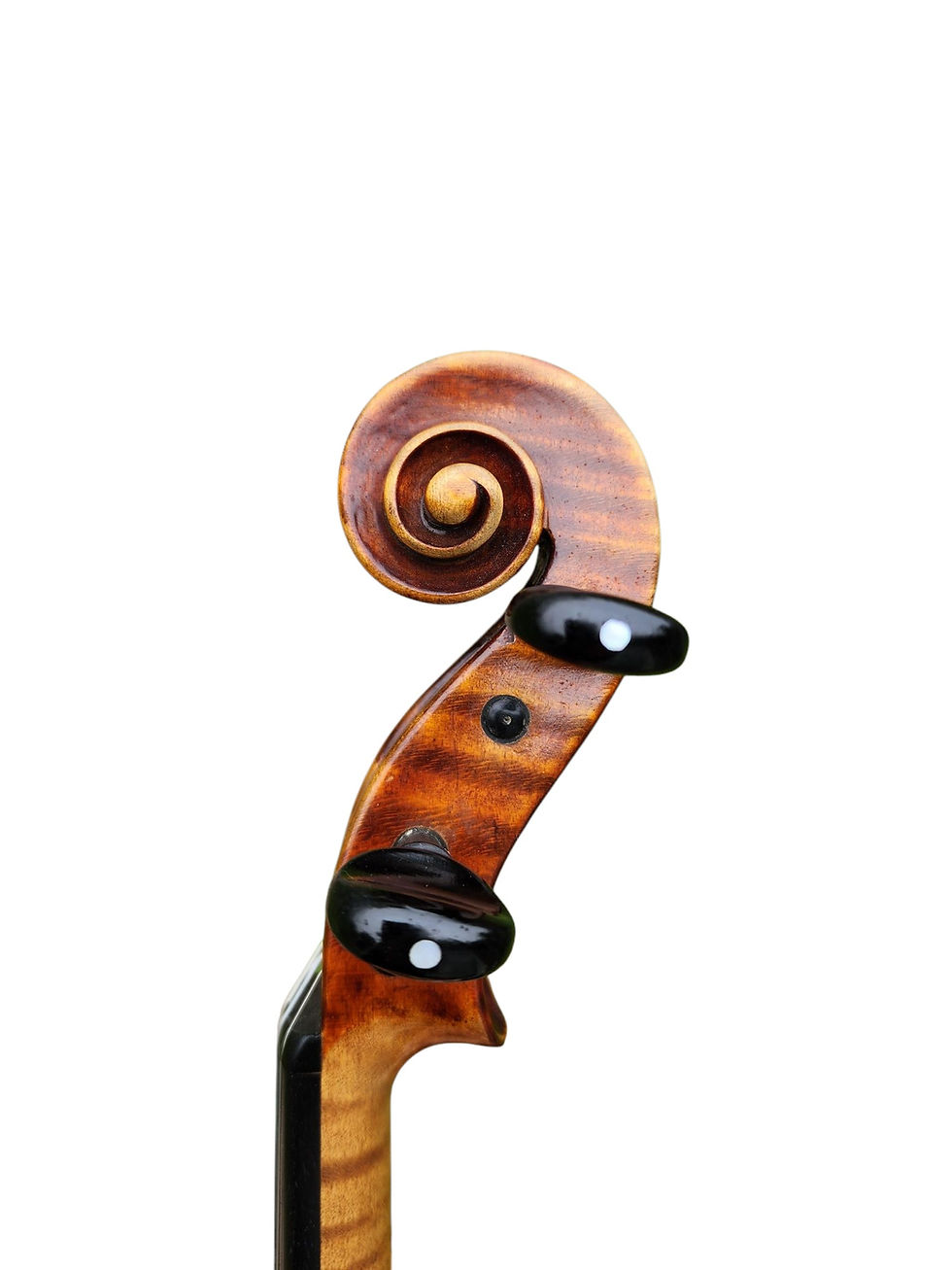 Thumbnail: Late 19th Century Bavarian "Labeled Bergonzi" Violin