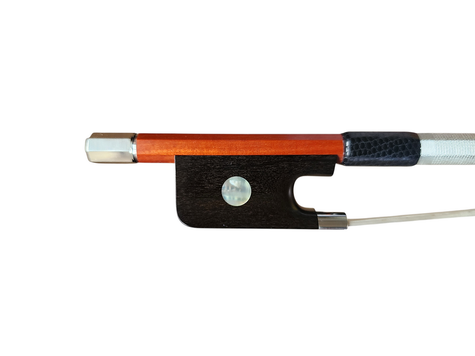 Thumbnail: Victor Bernard Viola Bow, Brussels, Belgium 2025