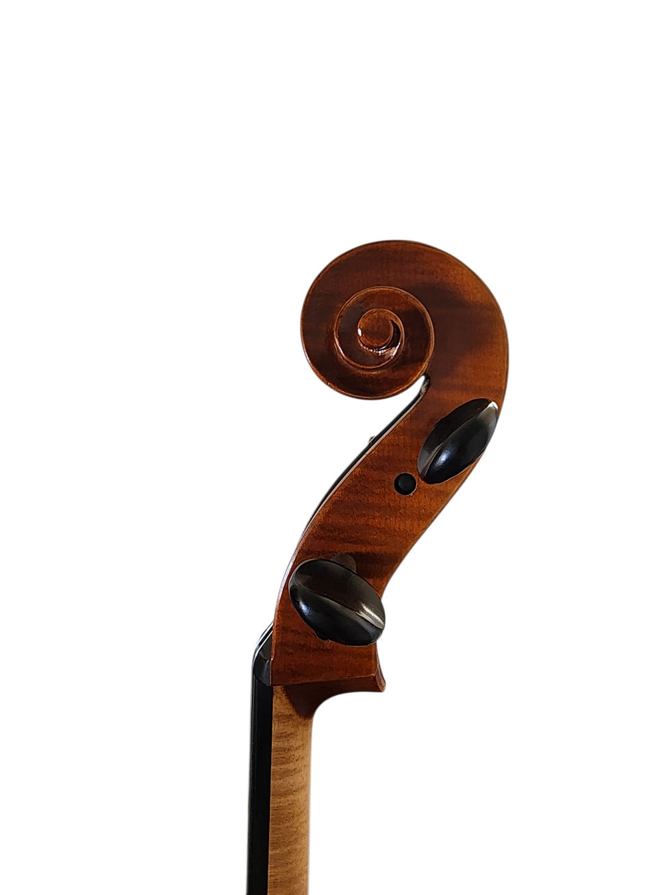 Thumbnail: Heinrich Gill Cello, No. 304, Germany, 2015
