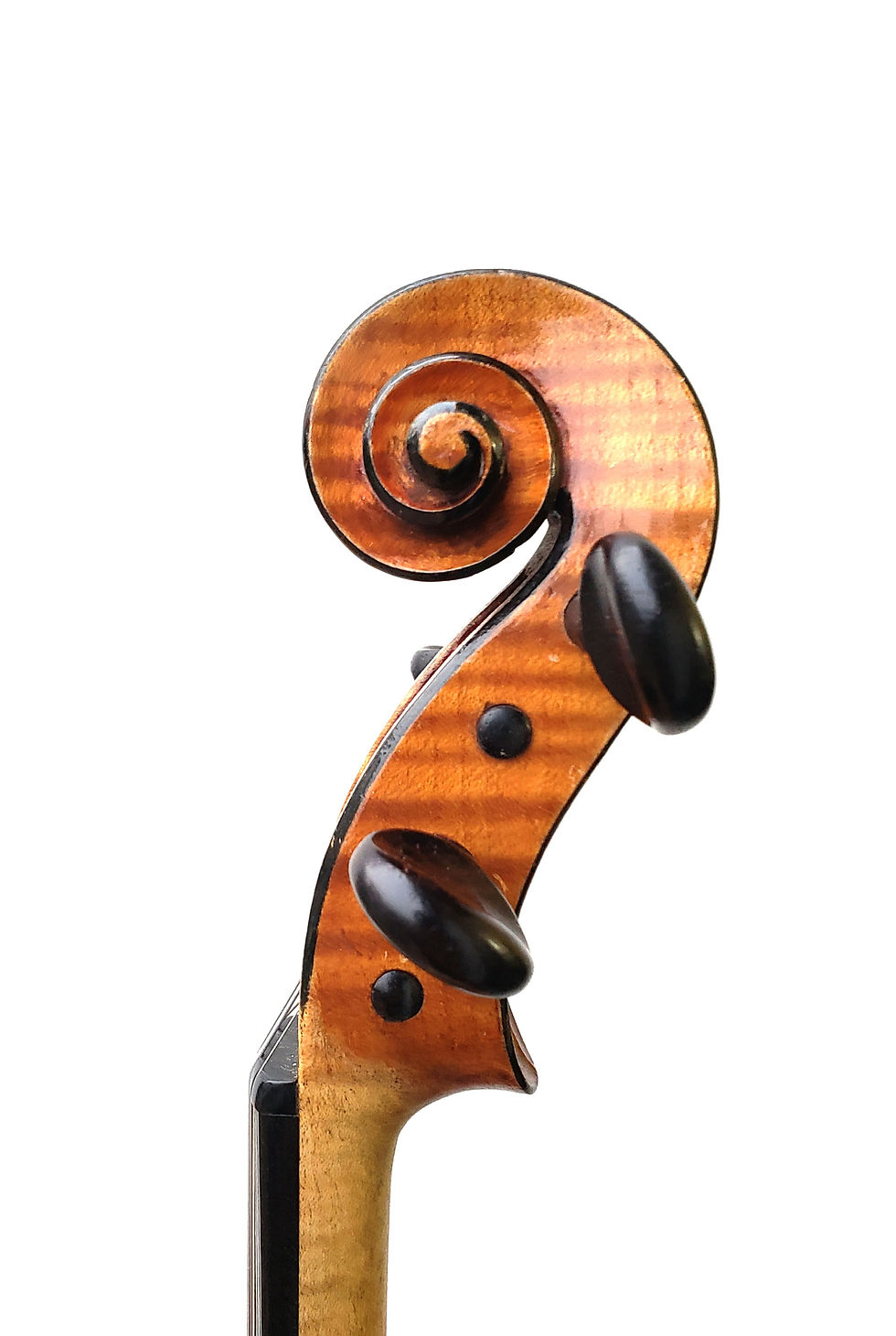 Thumbnail: Charles Jean-Baptiste Collin-Mezin Pere Violin, Paris, France, 1884