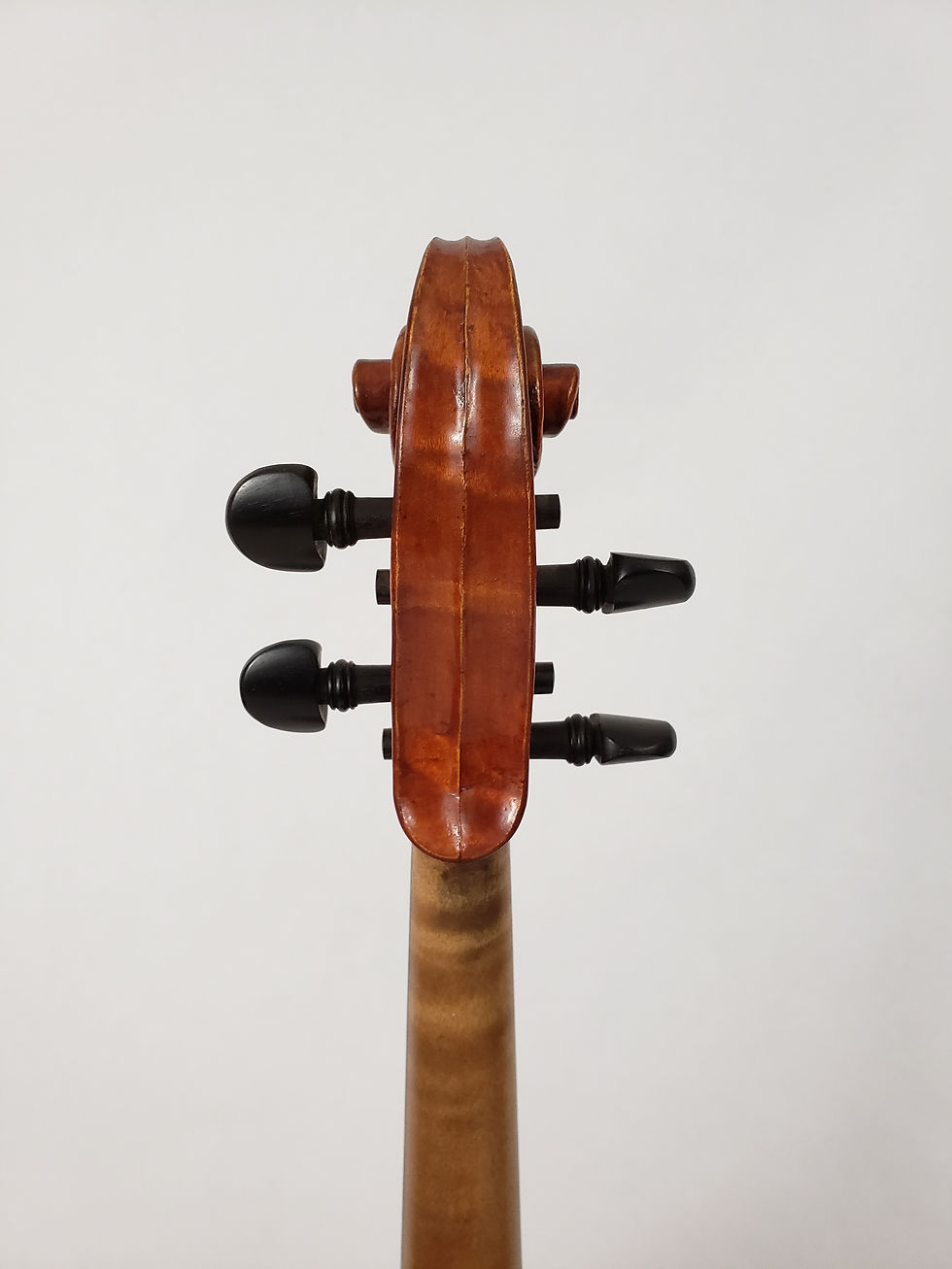 Thumbnail: Luis Claudio Manfio, Sao Paulo, Brazil 2009 406mm 16"