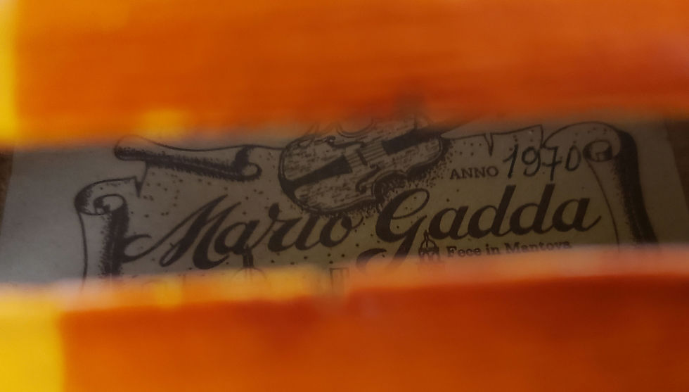 Thumbnail: Mario Gadda P. Sgarabotto Model Viola, 16 ½, Mantua, Italy, 1970