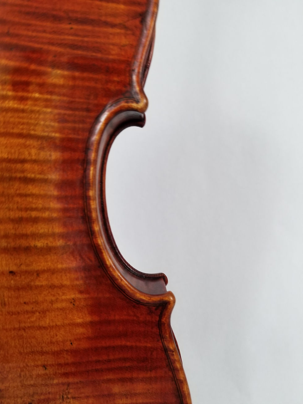 Thumbnail: Louis Kupersmith IV, Fort Collins, CO, 2018 Guarneri Model