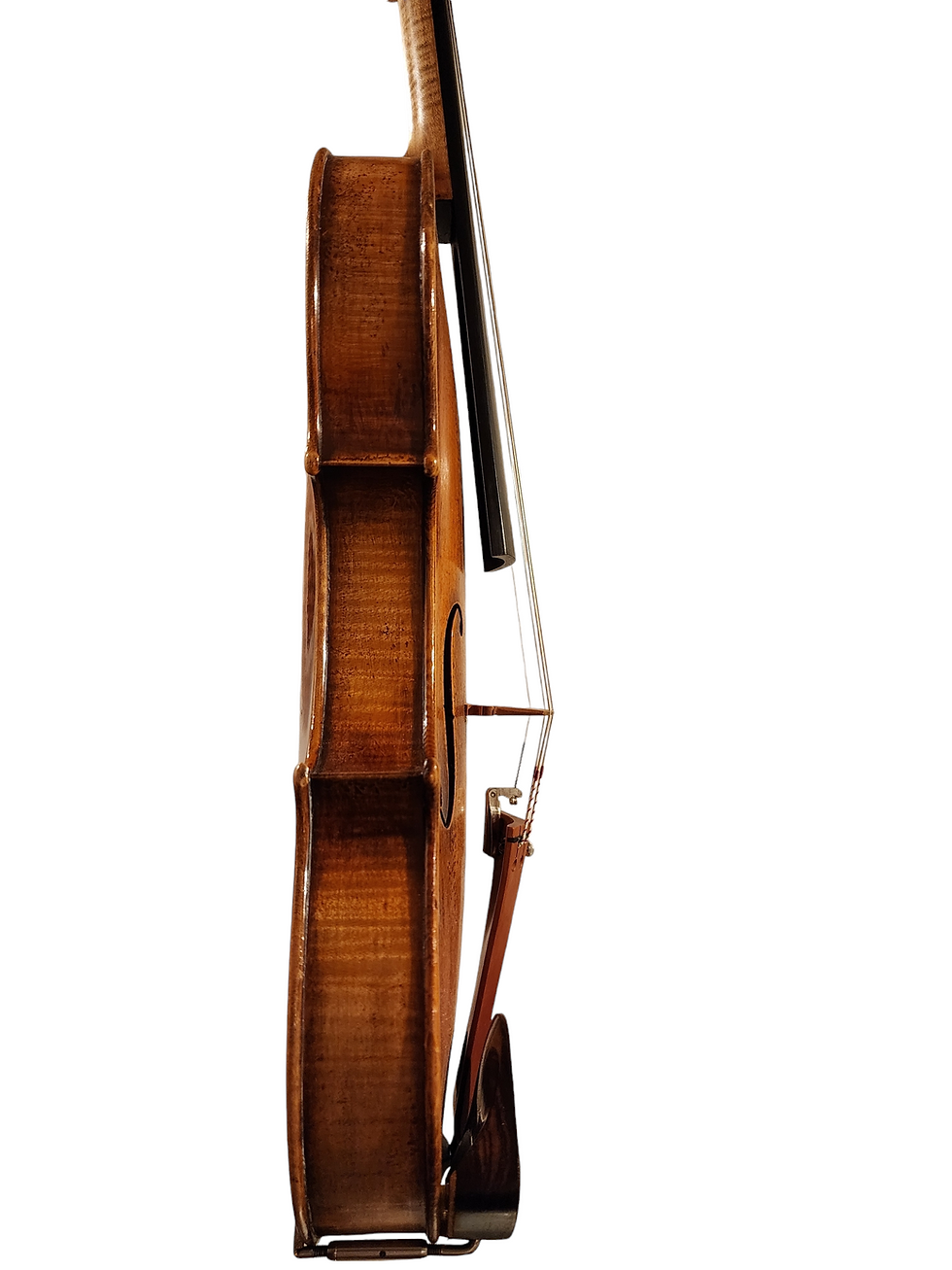 Thumbnail: Salvatore Callegari Violin, Strad Model, 2006