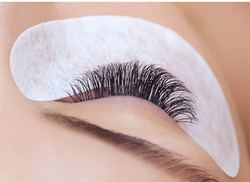 KakaoTalk_20250228_152559401