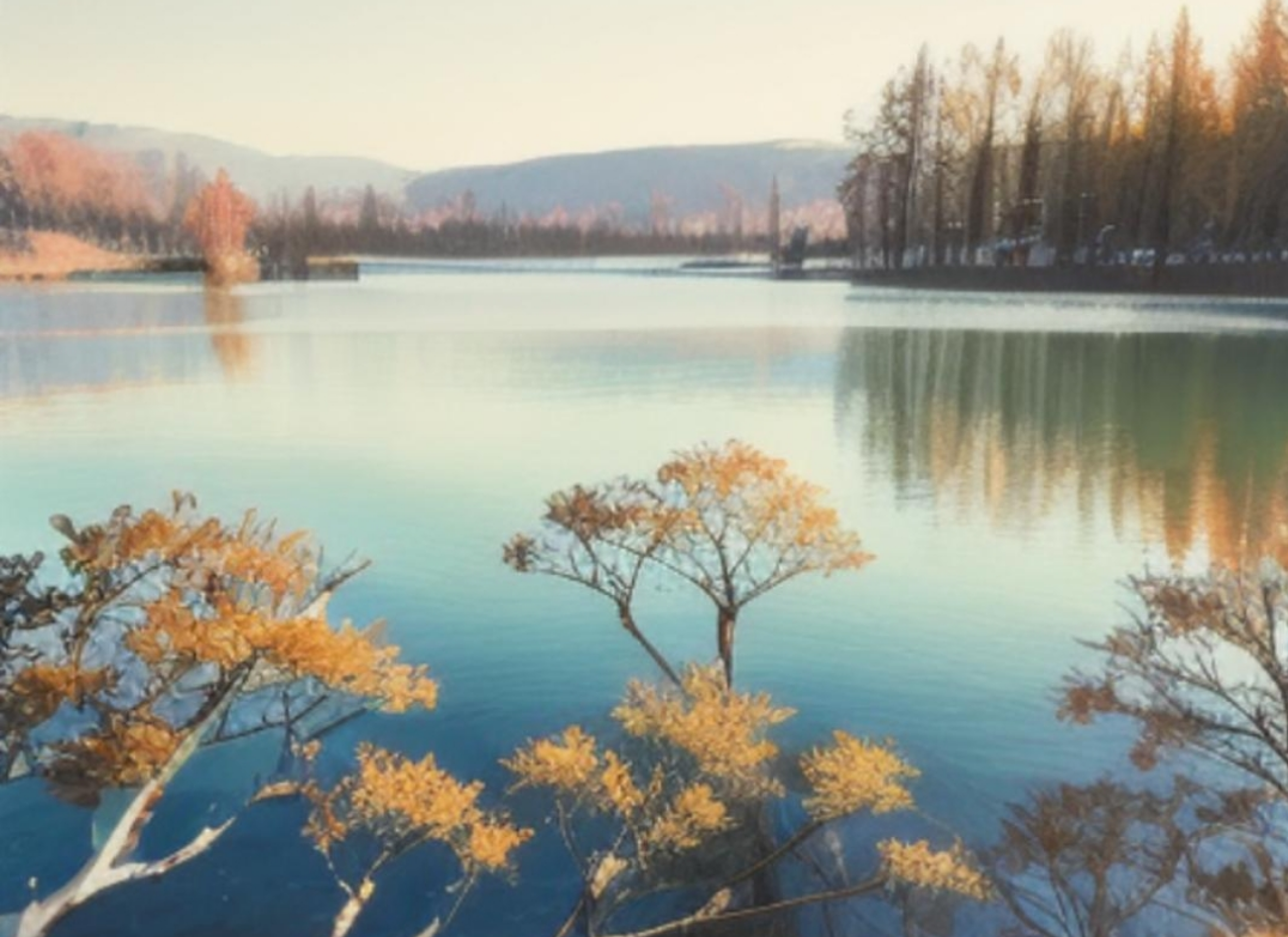 Hidden Lake Riverdale print (Digital) 8.5"x11"