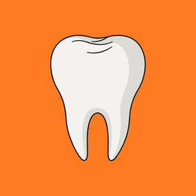 More Than Just a Cleaning: Why Routine Dental Cleanings Matter