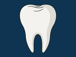 Your Smile Matters: Understanding Dental Services & Why Routine Care is Essential