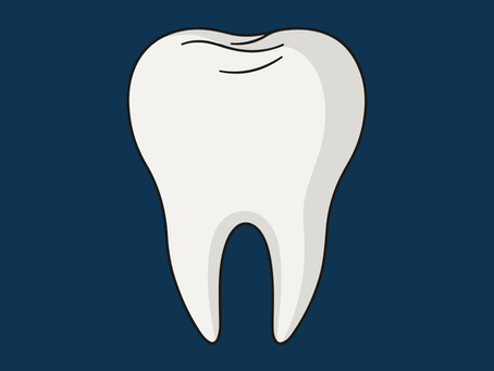 Your Smile Matters: Understanding Dental Services & Why Routine Care is Essential