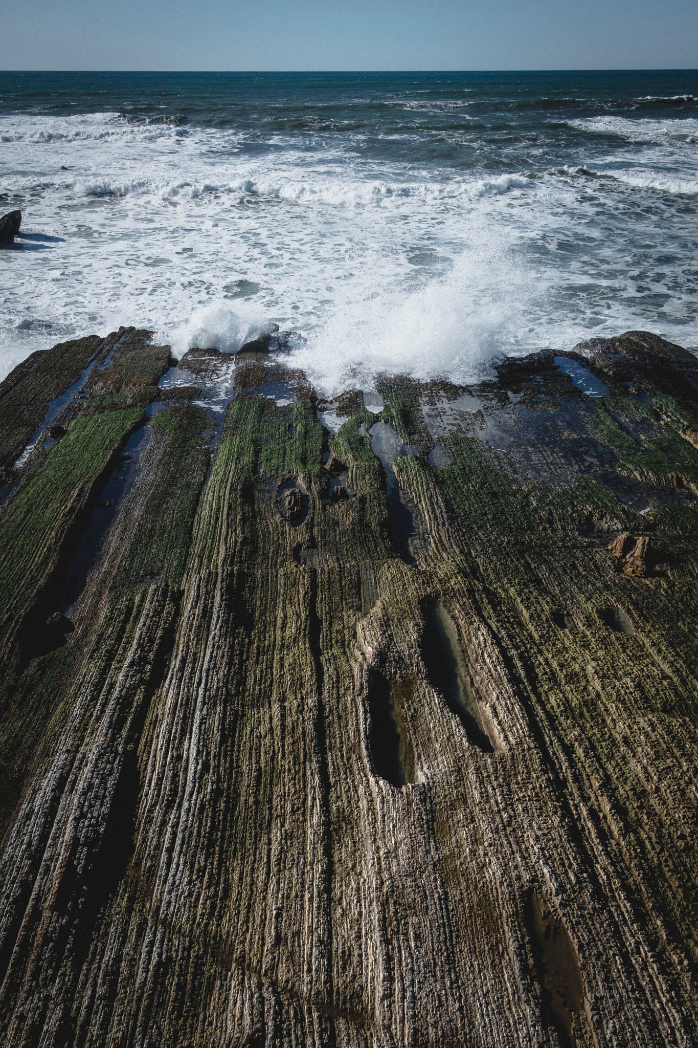 Sedimentary Reef at Montaña de Oro