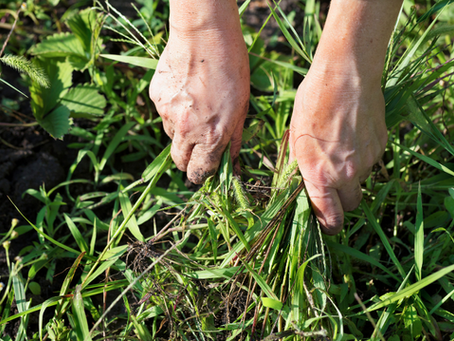 Words Influence Your Life and the Outcome is Up to You