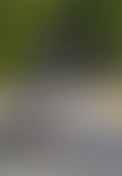 День фізичної культури і спорту