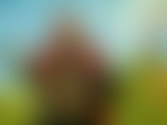 ПІЗНАЄМО ІСТОРІЮ СВОЄЇ ДЕРЖАВИ